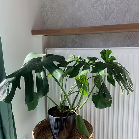 Fancy Near Manufaktura In Center Of